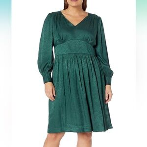 Calvin Klein green/ Teal Long-Sleeve Dress size 12*** read description